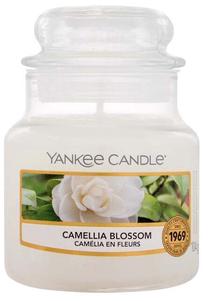 Žvakė, aromatinė Yankee Candle Camellia Blossom, 20 - 30 h, 104 g, balta sp.
