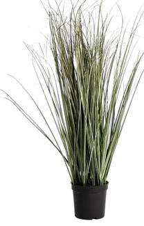 Dirbtinis augalas vazone Homla Basic Viridis, žalia sp., 63 cm x 11 cm