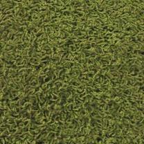 Ковер Mango Green, 160x240 cm