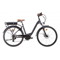 Elektrinis dviratis Bottari Urban 600, 28", 28", 250 W, 13 Ah, pilka sp.