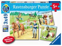 Пазл 3in1 Ravensburger Horses, 21 см x 21 см, 147 шт., многоцветный