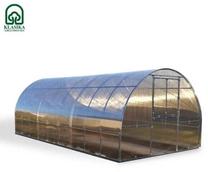 Kasvuhoone Klasika Easy, polükarbonaat, 8 x 3 m, 4 mm, hõbe v.