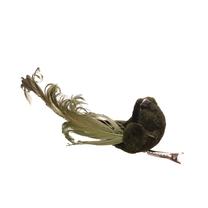 Kalėdinė dekoracija, "Paukštis" Christmas Touch D1G-1, 10 cm, žalia sp.