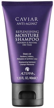 Šampūnas Alterna, 40 ml