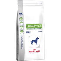 Sausas šunų maistas Royal Canin, 12 kg
