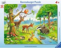 Dėlionė Ravensburger 061389, 32.5 cm x 24.5 cm, 30 vnt., įvairių spalvų
