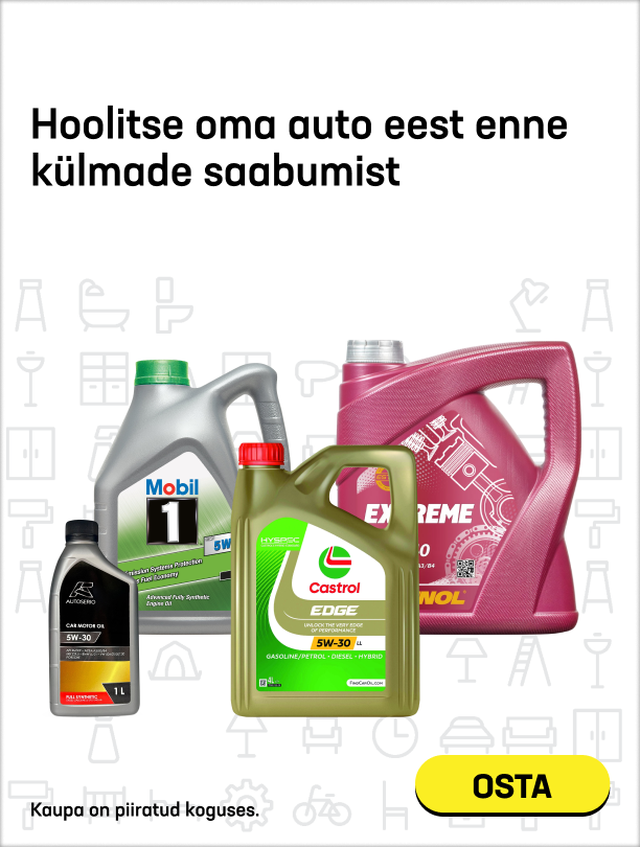 Hoolitse oma auto eest enne külmade saabumist