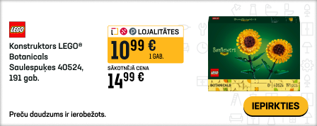 Konstruktors LEGO® Botanicals Saulespuķes 40524, 191 gab.