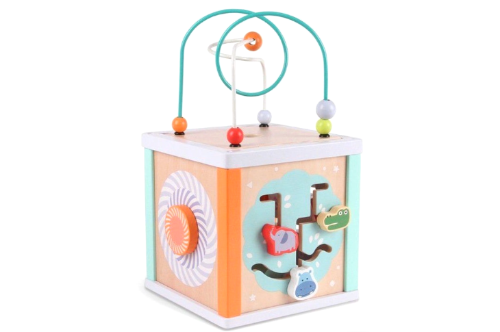 EcoToys Wooden Educational Cube Sorter