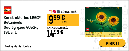 Konstruktorius LEGO® Botanicals Saulėgrąžos 40524, 191 vnt.